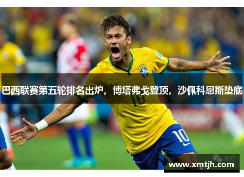 巴西联赛第五轮排名出炉，博塔弗戈登顶，沙佩科恩斯垫底